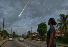 Perseid Meteor Shower Illuminates Trinidad and Tobago Skies Tonight