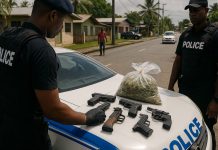 Operation RESOLUTE Shield Arrests Ten, Seizes Firearms and Cannabis Across Divisions