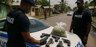 Operation RESOLUTE Shield Arrests Ten, Seizes Firearms and Cannabis Across Divisions