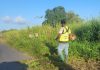 Roadside Grass-Cutting Operations Raise Safety Concerns