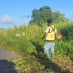 Roadside Grass-Cutting Operations Raise Safety Concerns