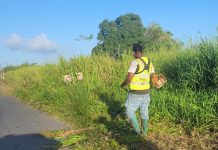 Roadside Grass-Cutting Operations Raise Safety Concerns