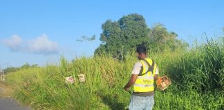 Roadside Grass-Cutting Operations Raise Safety Concerns