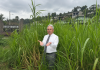 Opposition MP highlights overgrown roadsides while raising concerns about maintenance.