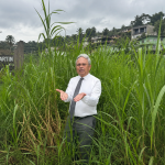 Opposition MP highlights overgrown roadsides while raising concerns about maintenance.