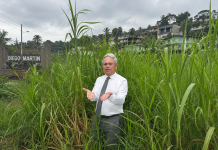 Opposition MP highlights overgrown roadsides while raising concerns about maintenance.