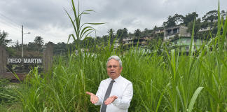 Opposition MP highlights overgrown roadsides while raising concerns about maintenance.