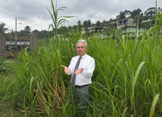 Opposition MP highlights overgrown roadsides while raising concerns about maintenance.
