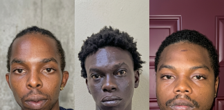 Three Men Remanded in Guyana for Alleged Attempted Armed Robbery and Firearm Possession