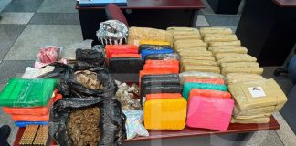 Tobago Police Seize Over $1M in Cannabis and Arrest Three Suspects in Major Bust