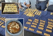 Belgian workers discover $10.4 million gold stash during sewer works.