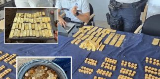 Belgian workers discover $10.4 million gold stash during sewer works.