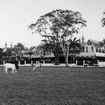 Queen’s Park Savannah: From Sugar Estate and Cattle Pasture to the Heart of Port of Spain