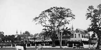 Queen’s Park Savannah: From Sugar Estate and Cattle Pasture to the Heart of Port of Spain