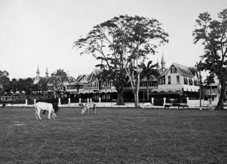 Queen’s Park Savannah: From Sugar Estate and Cattle Pasture to the Heart of Port of Spain