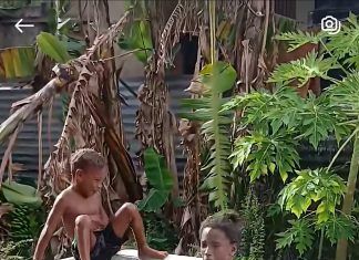 Mother Turns Freezer into Backyard Pool for Son’s Fun