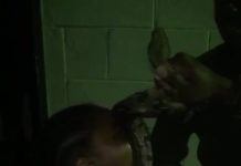 Video of Child and Snake Sparks Safety Concerns