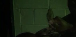 Video of Child and Snake Sparks Safety Concerns