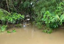 Decomposed Body Discovered In Coalmine River At Sangre Grande