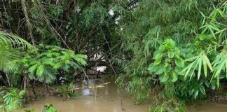 Decomposed Body Discovered In Coalmine River At Sangre Grande
