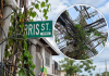 Overgrown Vines Entangle Utility Poles and Street Sign on Paris Street, Prompting Safety Warning