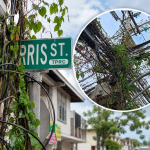 Overgrown Vines Entangle Utility Poles and Street Sign on Paris Street, Prompting Safety Warning