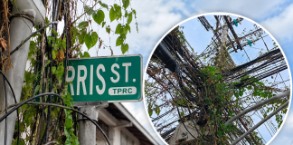 Overgrown Vines Entangle Utility Poles and Street Sign on Paris Street, Prompting Safety Warning