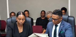 Government’s Mixed Cash‑Non‑Cash Salary Arrears Plan Sparks Truck Act Legal Debate in Trinidad and Tobago