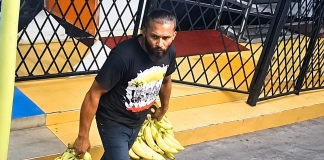 Cocoyea Vendor Loses 213 lbs of Plantains to Early-Morning Thief, Authorities Seek Witnesses