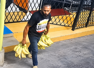 Cocoyea Vendor Loses 213 lbs of Plantains to Early-Morning Thief, Authorities Seek Witnesses