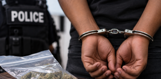 Six Arrested, Marijuana and Air Rifle Seized During Operation R.E.S.O.L.U.T.E. Shield