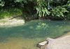Pundit responds to concerns over murtis in Valencia River