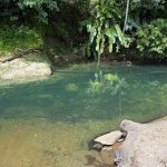 Pundit responds to concerns over murtis in Valencia River