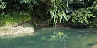 Pundit responds to concerns over murtis in Valencia River