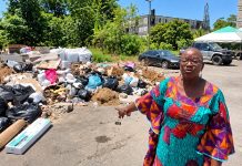 Robinson-Regis Raises Concerns Over Garbage And Rodents In Maloney