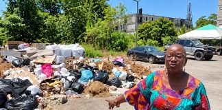 Robinson-Regis Raises Concerns Over Garbage And Rodents In Maloney