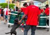 Dog Joins Proman Starlift For Republic Day J’Ouvert Steelpan Vibes