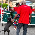 Dog Joins Proman Starlift For Republic Day J’Ouvert Steelpan Vibes