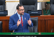 Stuart Young Criticizes Special Operations Bill, Warns of Police State; Government Defends Crime‑Fighting Powers