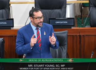 Stuart Young Criticizes Special Operations Bill, Warns of Police State; Government Defends Crime‑Fighting Powers