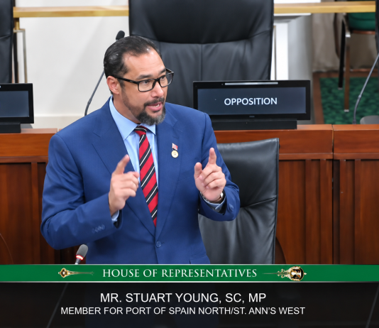 Stuart Young Criticizes Special Operations Bill, Warns of Police State; Government Defends Crime‑Fighting Powers