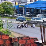 Schoolchildren filmed taking dangerous pictures while sitting on busy roadway