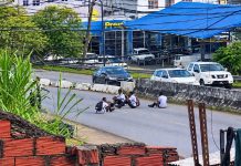 Schoolchildren filmed taking dangerous pictures while sitting on busy roadway