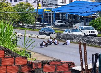 Schoolchildren filmed taking dangerous pictures while sitting on busy roadway