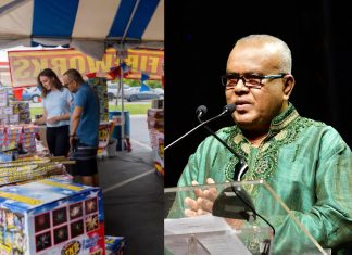 NCIC bans fireworks sales at Divali Nagar despite expected losses