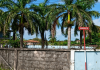 Eight Bodies Found in Refrigerated Unit at Unauthorised Freeport Building