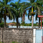 Eight Bodies Found in Refrigerated Unit at Unauthorised Freeport Building