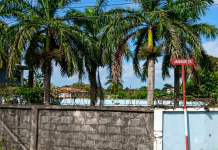 Eight Bodies Found in Refrigerated Unit at Unauthorised Freeport Building