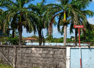 Eight Bodies Found in Refrigerated Unit at Unauthorised Freeport Building