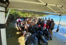 Tobago Study Shows 97% Plastic on Atlantic Beaches, Only 16% on Caribbean Coast